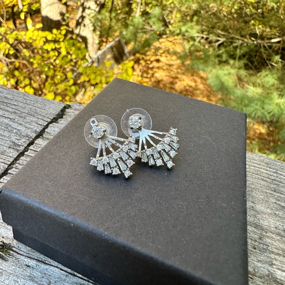 EXPRESS Elegant Silver Fan-Shaped Earrings